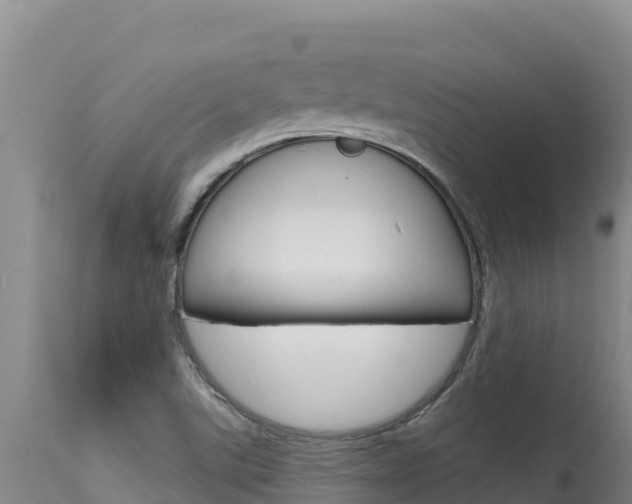 X0000115671507200911120954