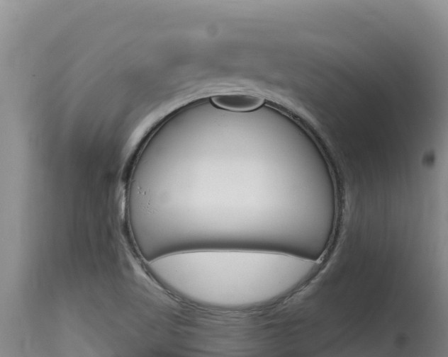 X0000115671509200911120954