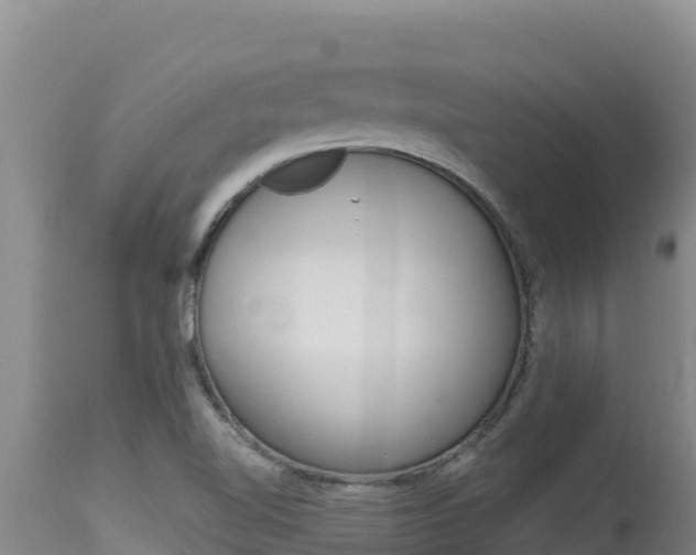 X0000115671510200911120954