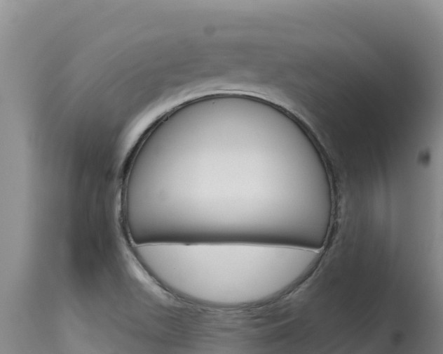 X0000115671511200911120954