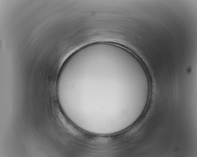 X0000115671513200911120954