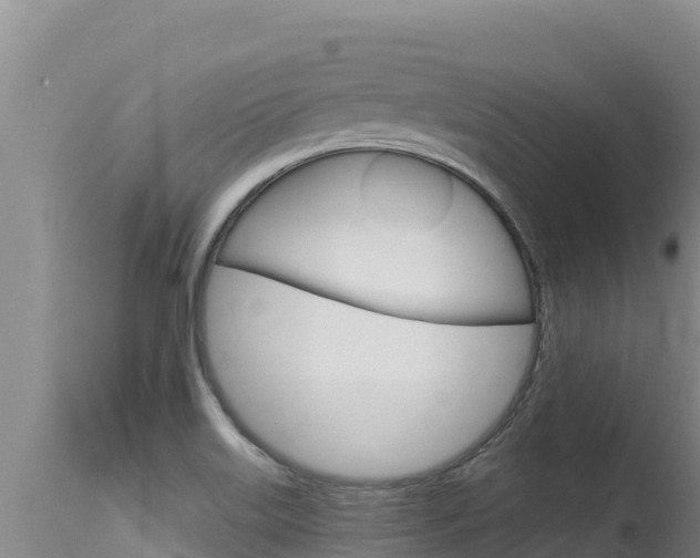 X0000115671515200911120954