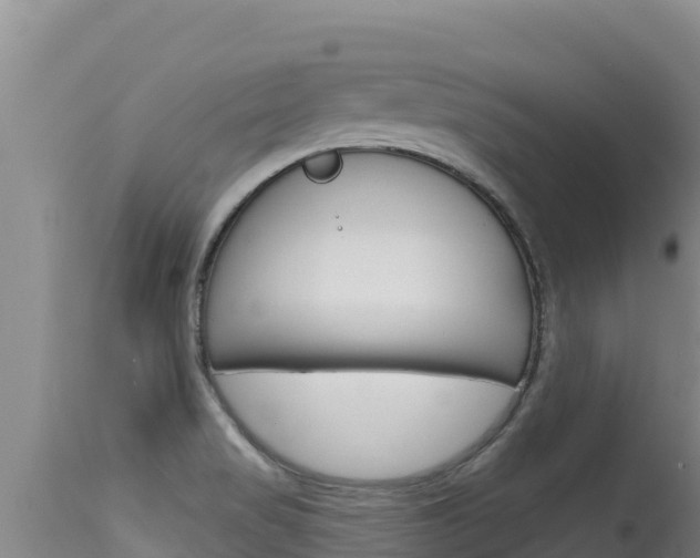 X0000115671517200911120954
