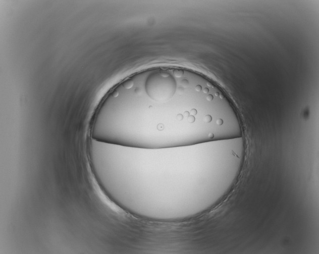 X0000115671519200911120954