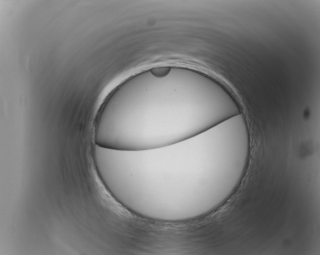 X0000115671522200911120954