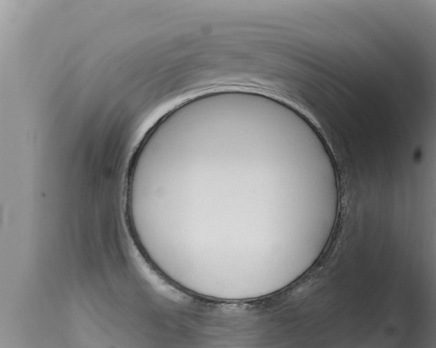X0000115671523200911120954