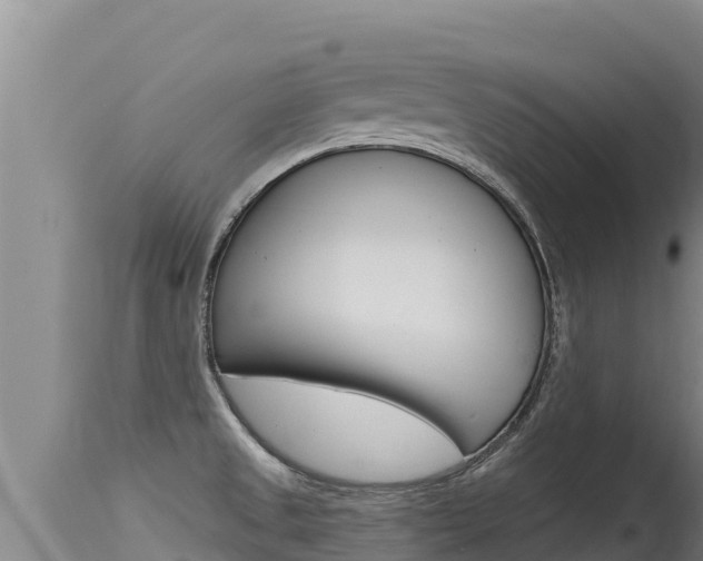 X0000115671525200911120954