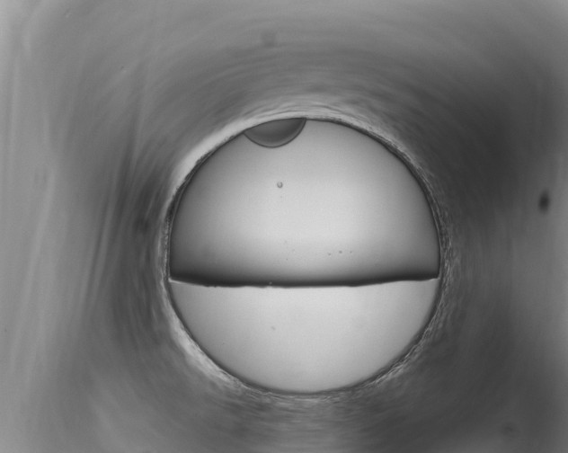 X0000115671526200911120954