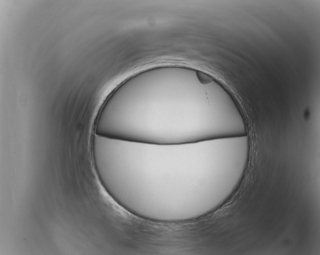 X0000115671527200911120954