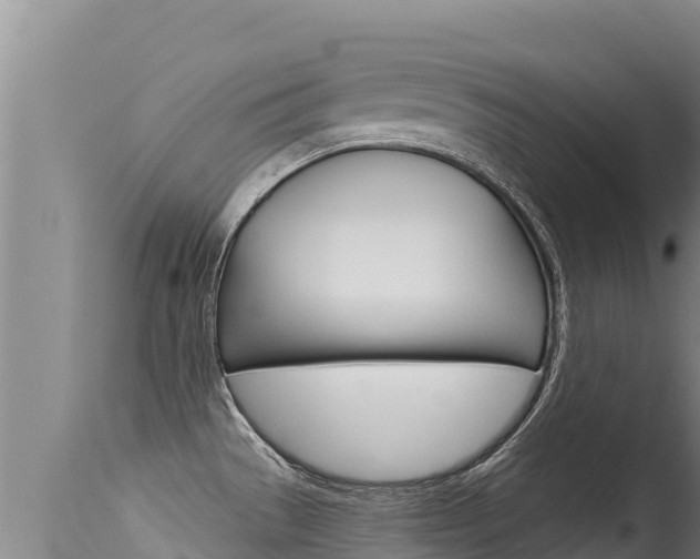 X0000115671529200911120954
