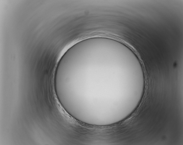 X0000115671530200911120954