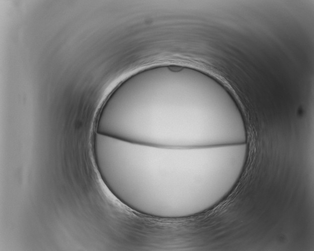 X0000115671531200911120954