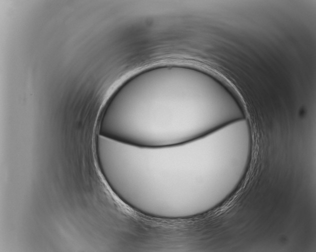 X0000115671533200911120954