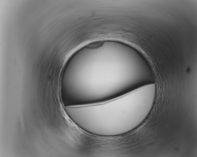 X0000115671534200911120954