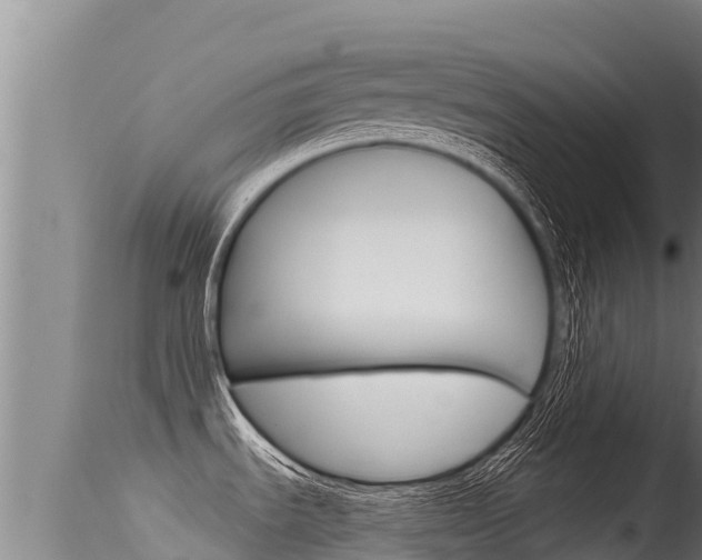 X0000115671535200911120954