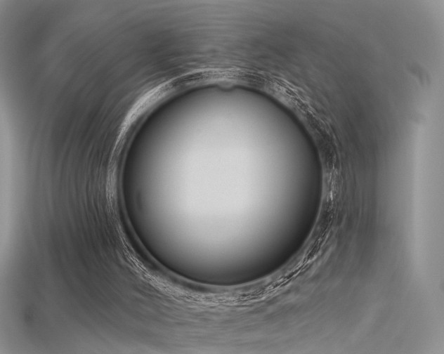 X0000115670004200911121202