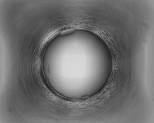 X0000115670005200911121202