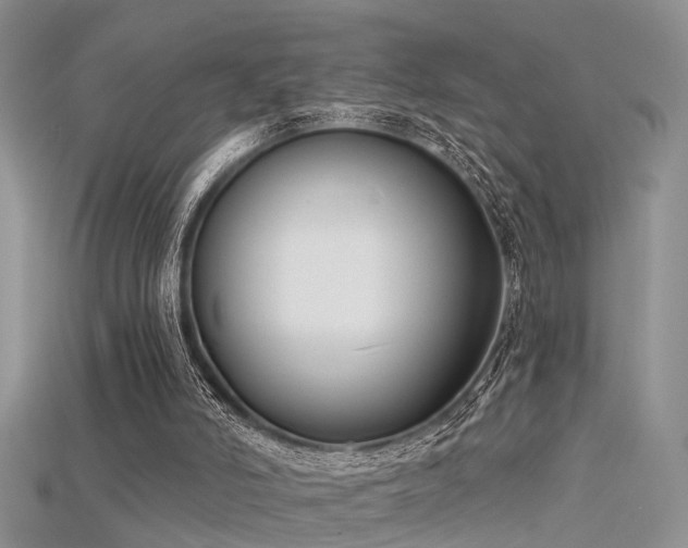 X0000115670006200911121202