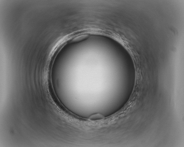 X0000115670007200911121202