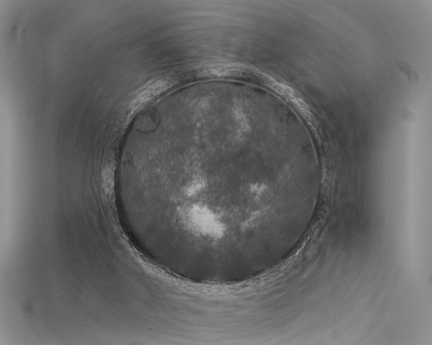 X0000115670010200911121202