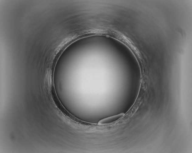 X0000115670011200911121202
