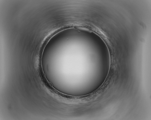 X0000115670012200911121202