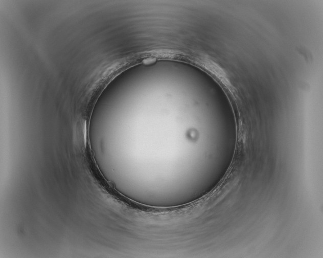 X0000115670013200911121202