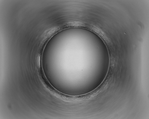 X0000115670014200911121202