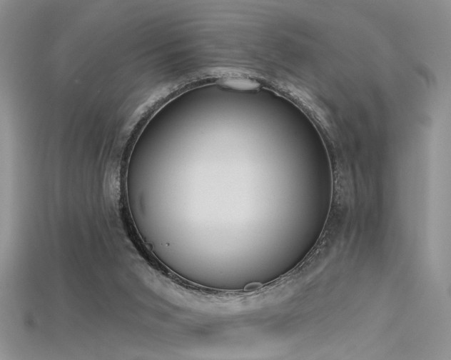 X0000115670015200911121202