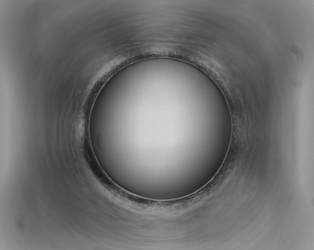 X0000115670016200911121202