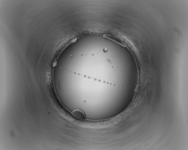 X0000115670017200911121202