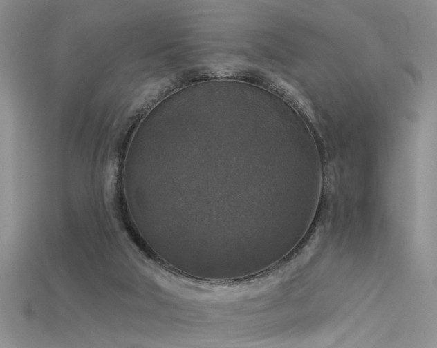 X0000115670018200911121202