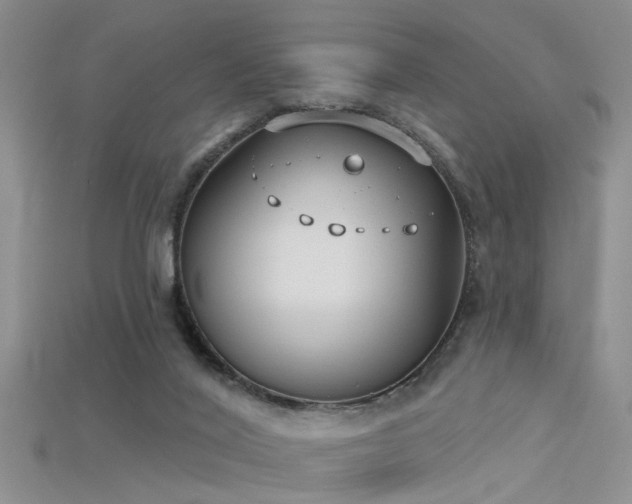 X0000115670020200911121202