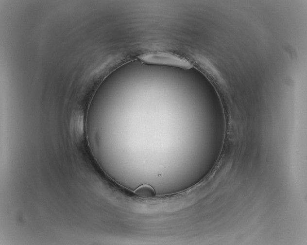 X0000115670021200911121202