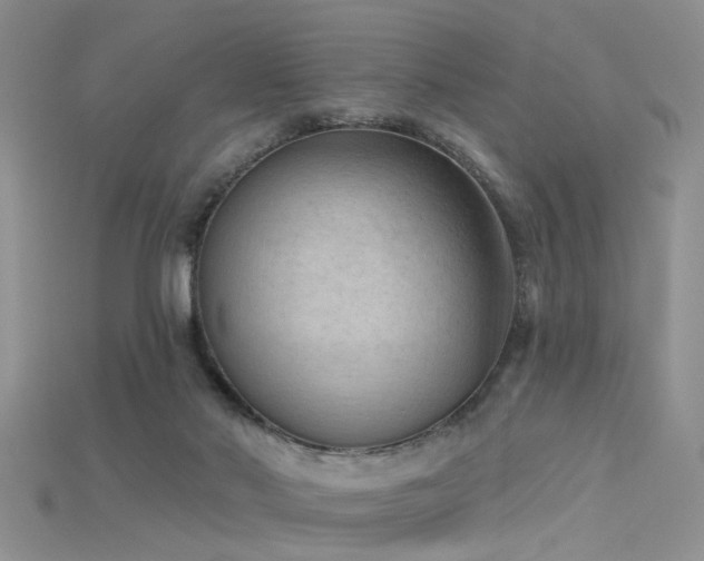 X0000115670022200911121202
