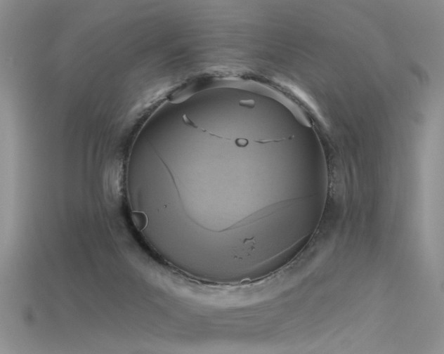 X0000115670023200911121202
