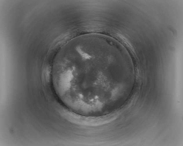 X0000115670026200911121202