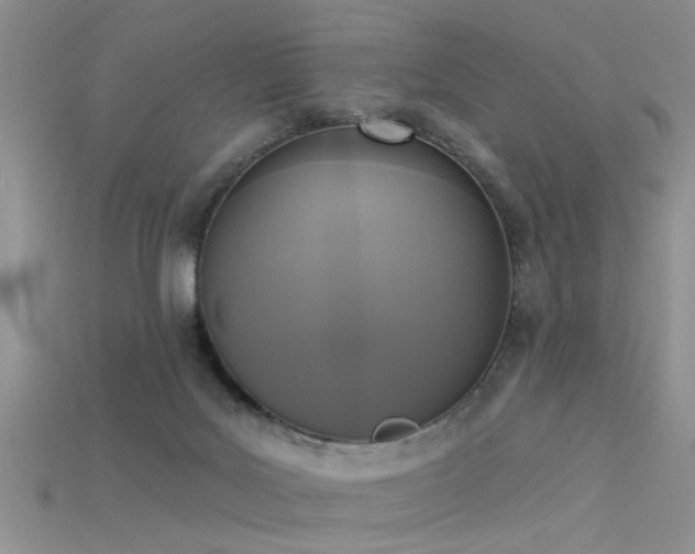 X0000115670027200911121202