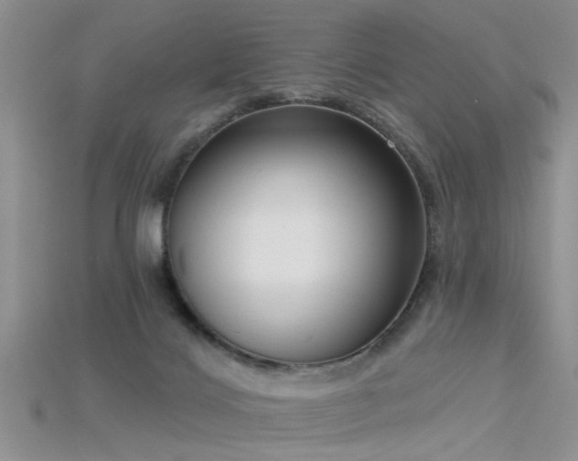 X0000115670028200911121202
