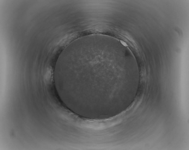 X0000115670029200911121202