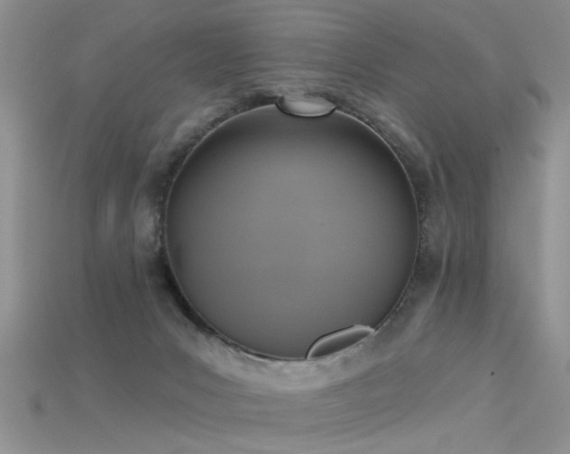 X0000115670031200911121202