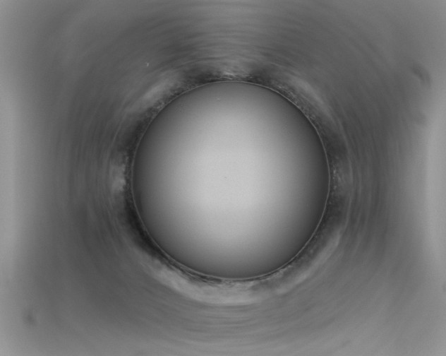 X0000115670032200911121202