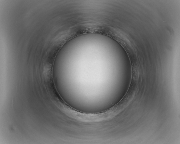 X0000115670034200911121202