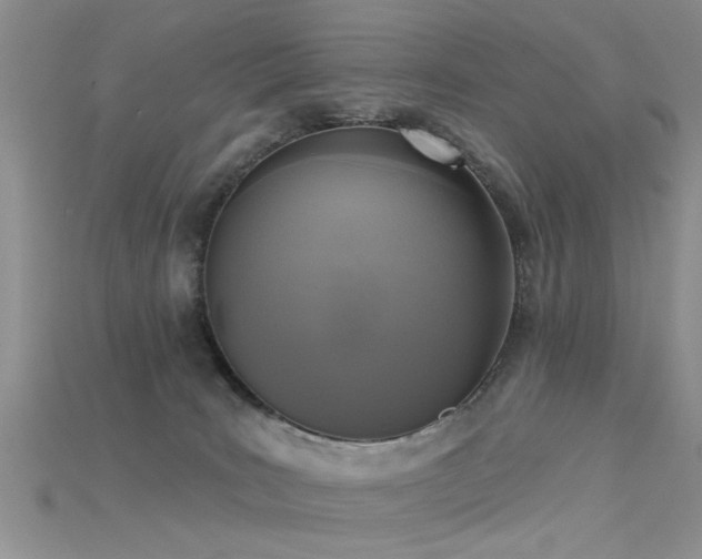 X0000115670035200911121202