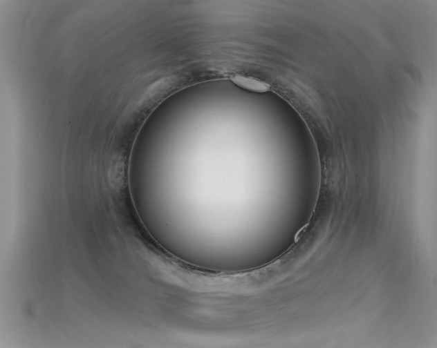X0000115670036200911121202