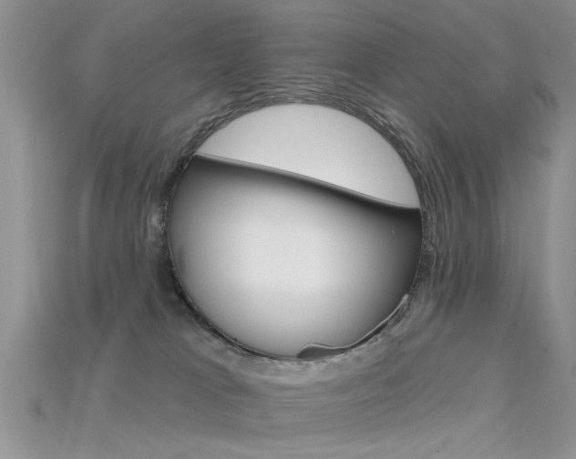 X0000115670037200911121202
