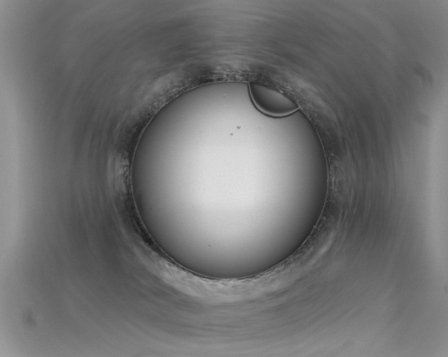 X0000115670038200911121202
