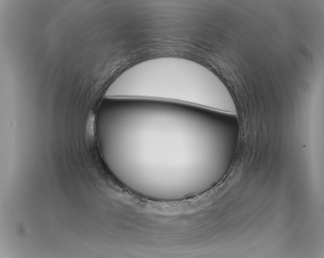 X0000115670041200911121202
