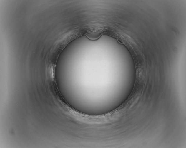 X0000115670042200911121202