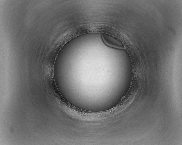 X0000115670044200911121202